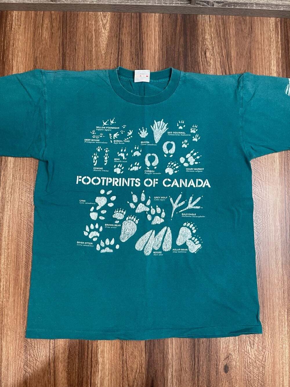 Vintage Harlequin Footprints of Canada T-Shirt Forest Green Size M